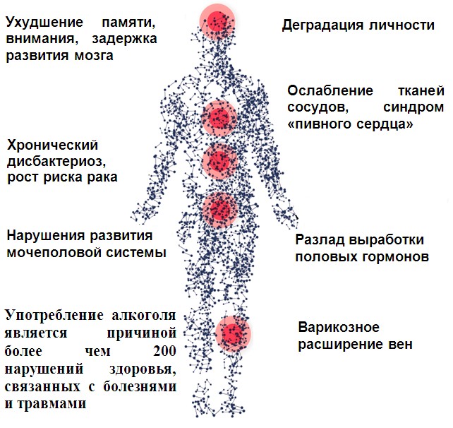 Куда бьет алкоголь