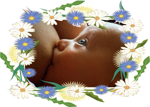 Описание: http://detpol3.chita.ru/misc/images/pitanie.png