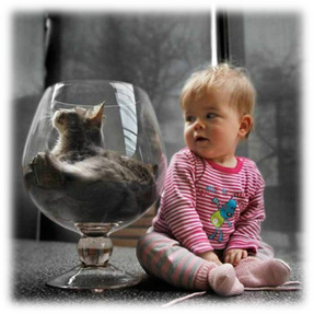 Описание: D:\психолог\фото\78106251_large_16.jpg